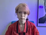 Free online PollyFox